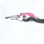 traumbunt - Bild - 