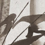 traumbunt - Bild - 