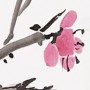 traumbunt - Tuschmalerei - Tuschmalerei - Pflaumenblüte